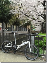 高瀬川桜まつり