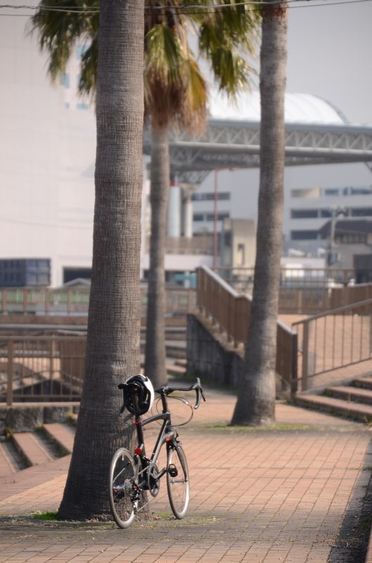 CARACLE-COZ ライトモデル(5800系105)[試作車]