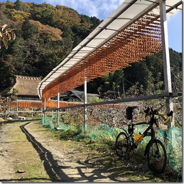 串柿の里四郷神野地区