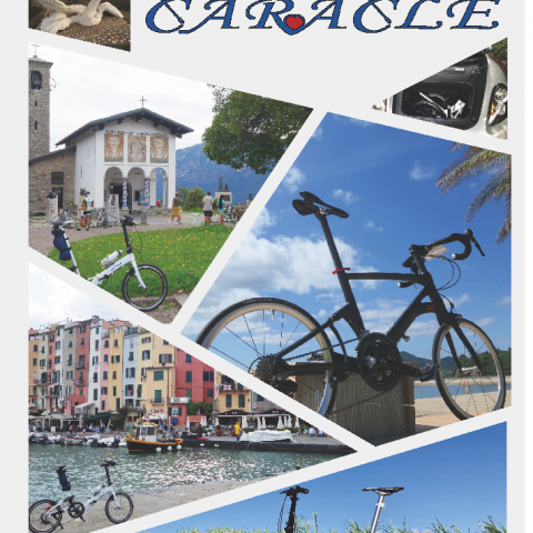 pamphlet_all201101p01